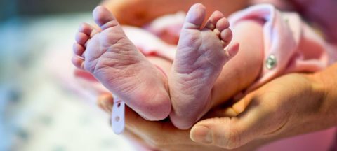 Newborn baby feet and hands of the mother