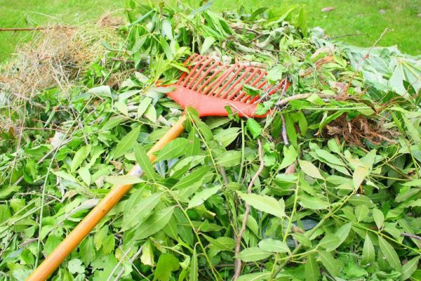 Déchets verts : 6 collectes gratuites