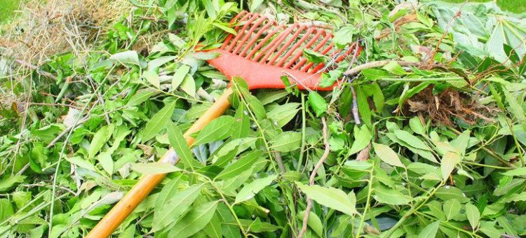 Déchets verts : Une benne à votre disposition