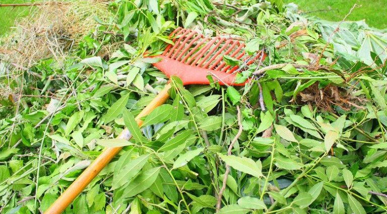 Déchets verts : Une benne à votre disposition