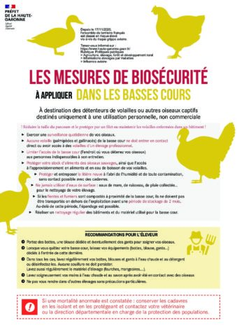 594 – DDPP -flyer_bassecour_V3-1