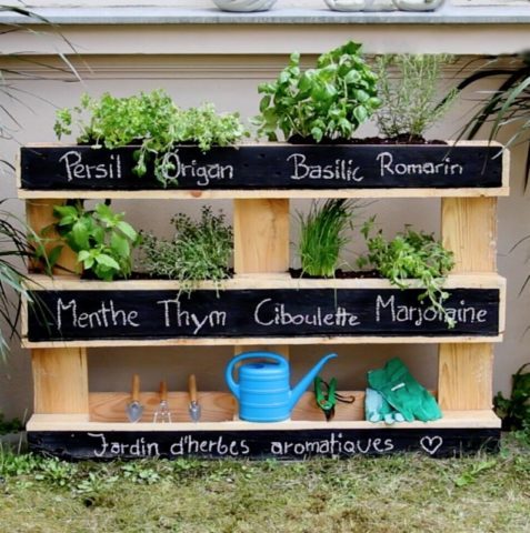 Ô jardins des saveurs – Les ateliers