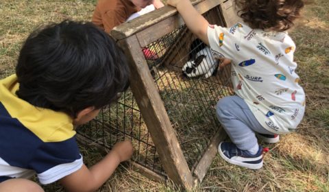 la Ferme nomade au Relais Petite Enfance