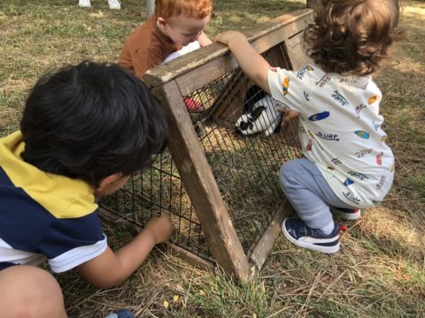 la Ferme nomade au Relais Petite Enfance