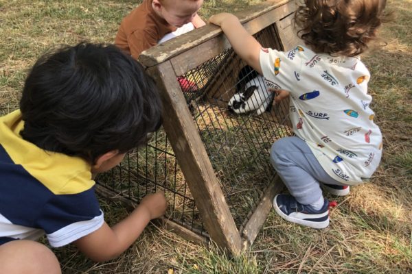 la Ferme nomade au Relais Petite Enfance