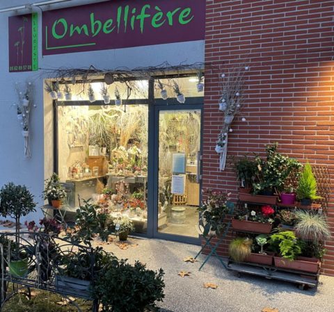 Ombellifère-r