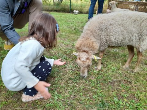 Ferme Nomade