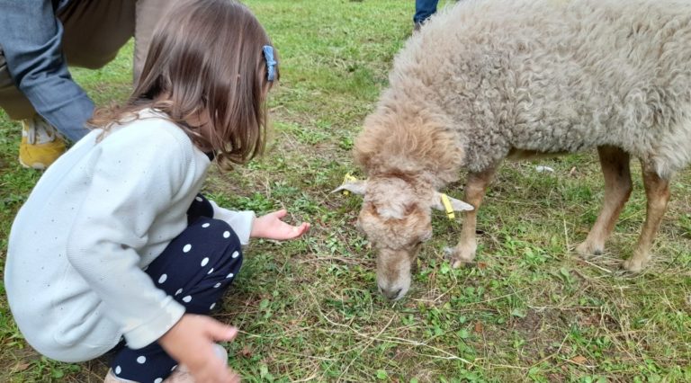 Ferme Nomade
