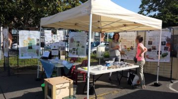 Animation Compostage et gestion des déchets végétaux au jardin