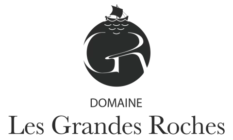 LGR-logo-gris-1000×600-1