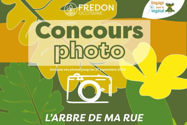 Concours Photo : L’arbre de ma rue