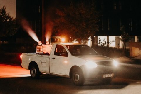 altopictus-pick-up