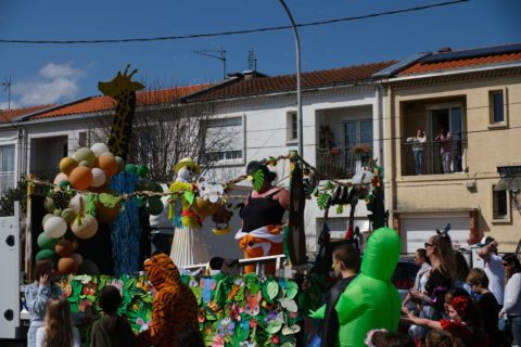 DSCF1916