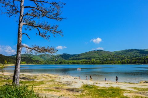 Sortie tout public : Lac de Saint-Ferréol