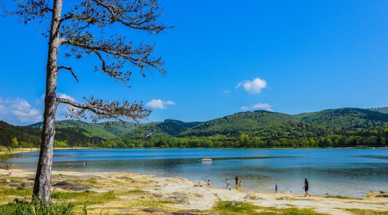 Sortie tout public : Lac de Saint-Ferréol