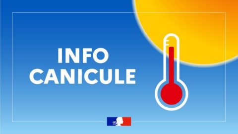 CANICULE : INFORMATION ECOLES