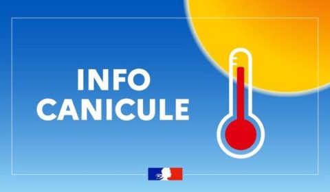 CANICULE : INFORMATION ECOLES