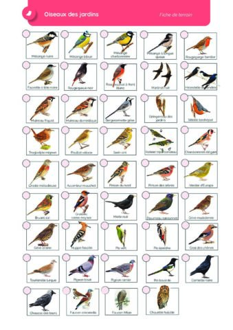 oiseaux_des_jardins A4_ABC_StJean