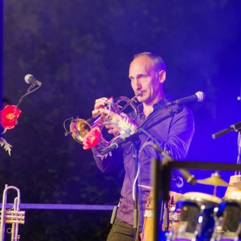 Concert CUARTETO TAFI_ZF53903