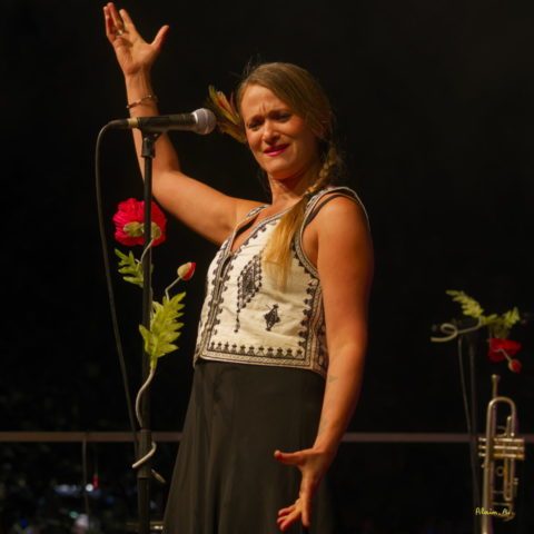 Concert CUARTETO TAFI_ZF53928