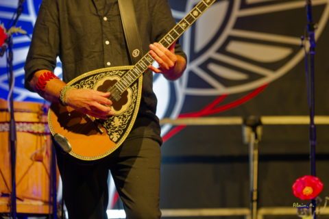 Concert CUARTETO TAFI_ZF53940