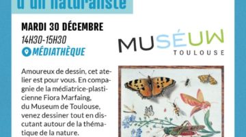 Atelier dessin à la manière d&rsquo;un naturaliste