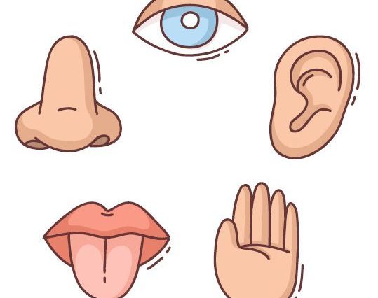 Atelier sensoriel pour tous