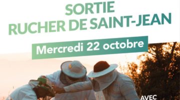 Sortie au rucher de Saint-Jean
