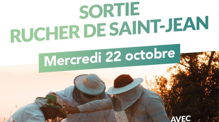 Sortie au rucher de Saint-Jean