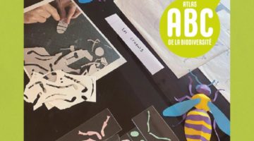 EXPOSITION BIZZZARRE Petites bêtes en bazar