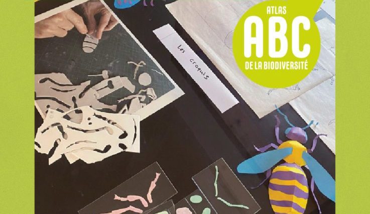 EXPOSITION BIZZZARRE Petites bêtes en bazar