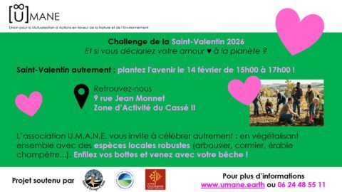 (reporté) Projet de Plantation U.M.A.N.E.