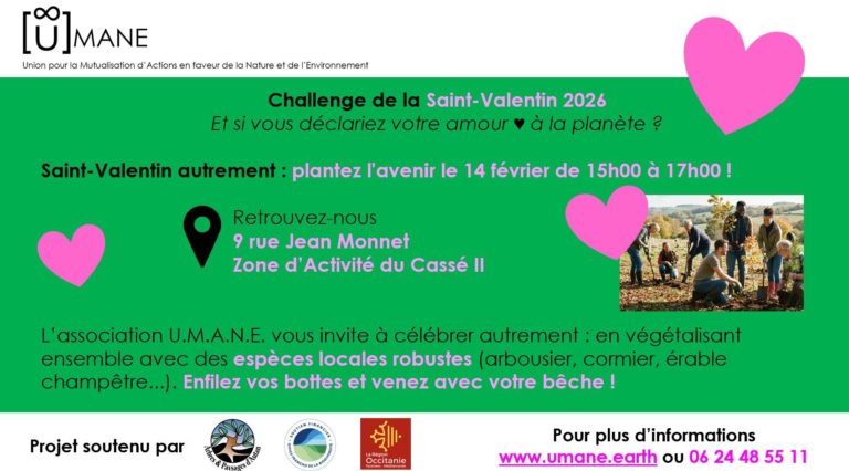 (reporté) Projet de Plantation U.M.A.N.E.