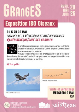 Exposition IBO Oiseaux