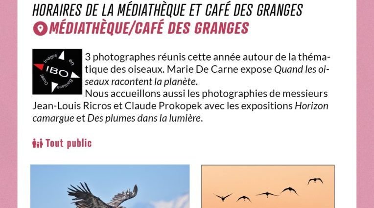 Exposition IBO Oiseaux