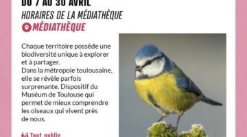 Exposition Les oiseaux du coin