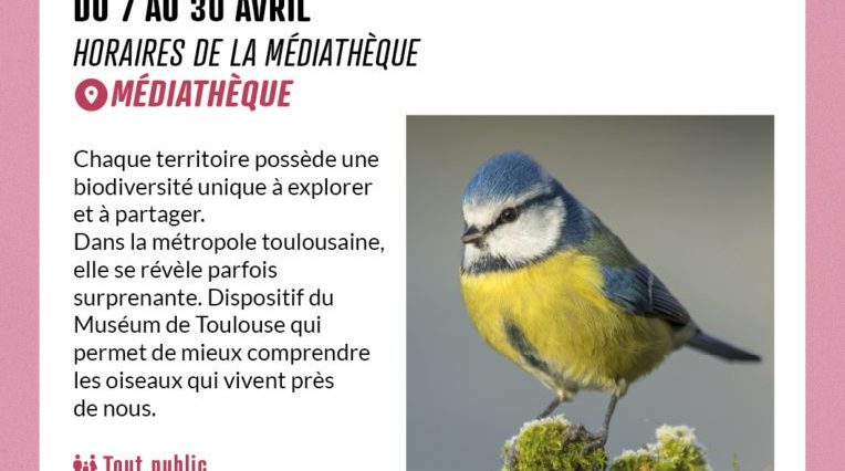 Exposition Les oiseaux du coin