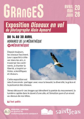 Exposition Oiseaux en vol