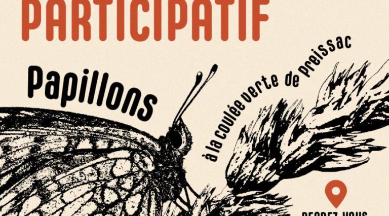 Inventaire participatif : Papillons