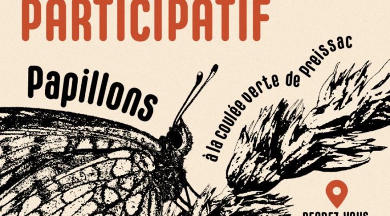 Inventaire participatif : Papillons
