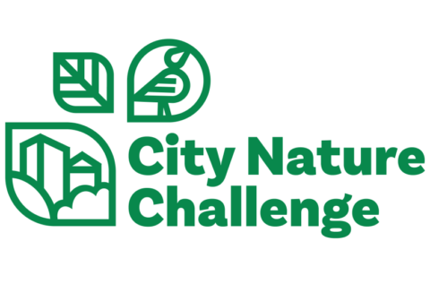 Balade Nature City Nature Challenge