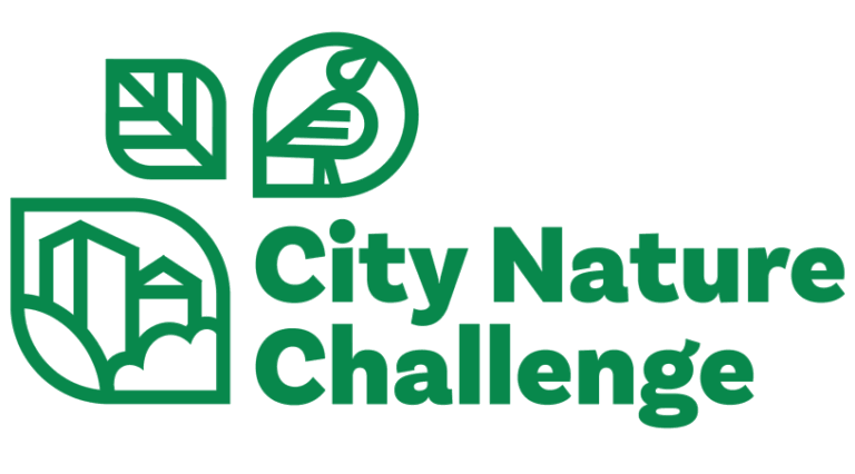 Balade Nature City Nature Challenge