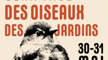 Week-end de comptage National des oiseaux