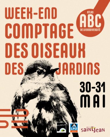 Week-end de comptage National des oiseaux
