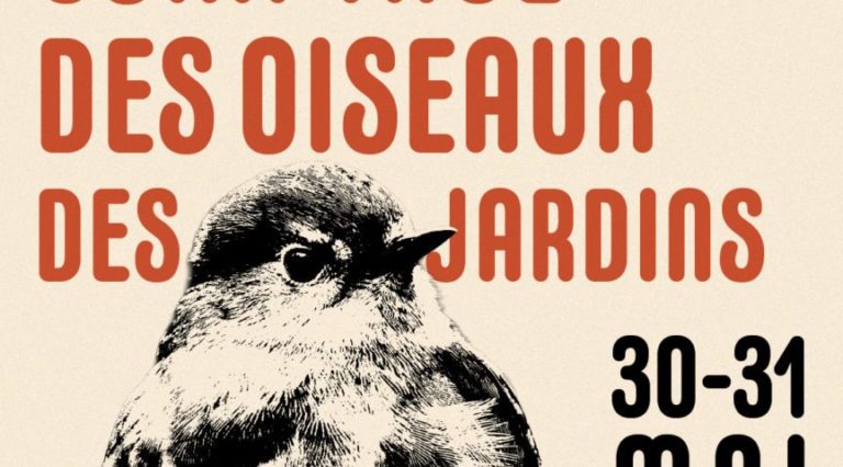 Week-end de comptage National des oiseaux