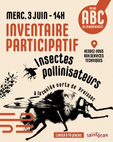 Inventaire participatif : Insectes pollinisateurs