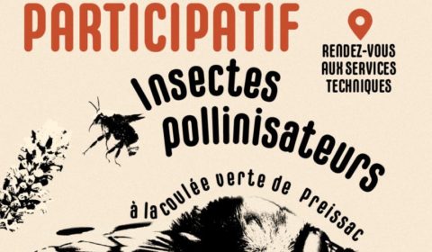 Inventaire participatif : Pollinisateurs