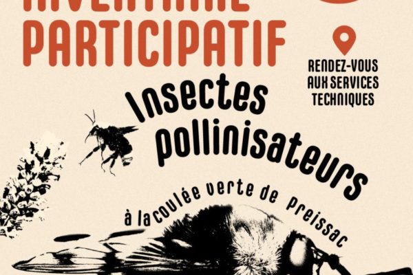 Inventaire participatif : Pollinisateurs