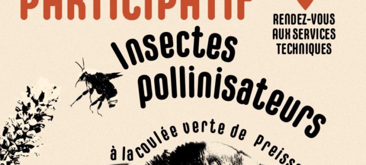 Inventaire participatif : Pollinisateurs