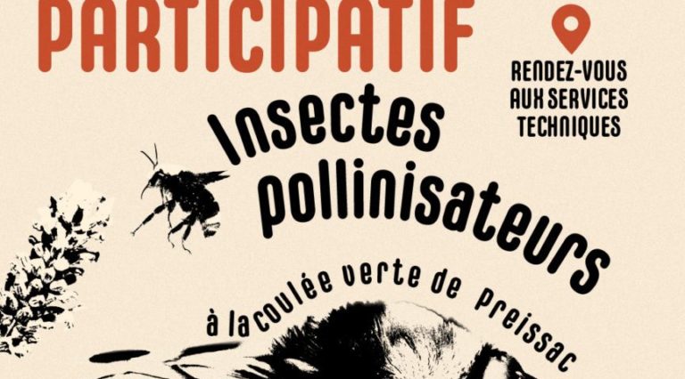 Inventaire participatif : Insectes pollinisateurs
